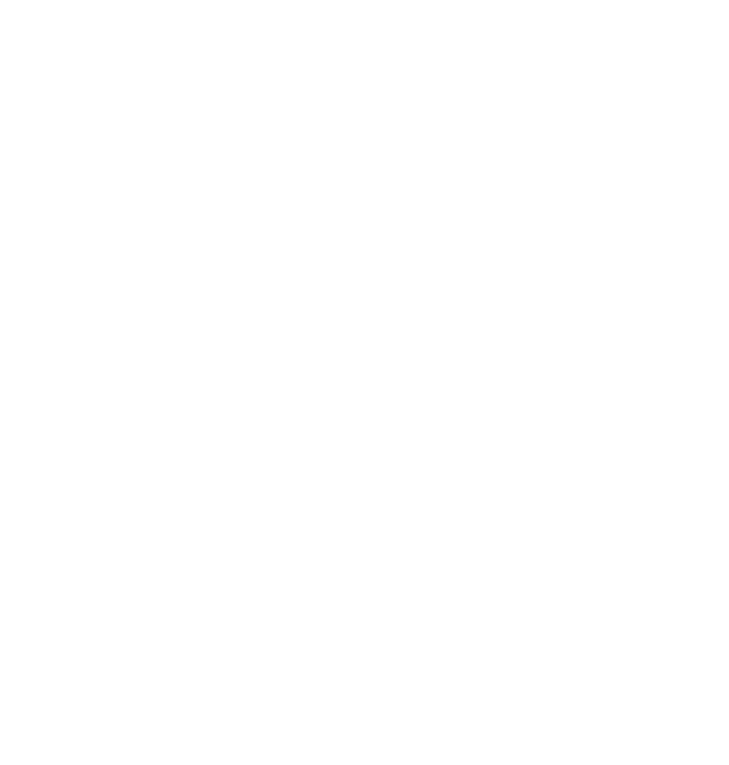 Ohio Chimney Co Full Logo White